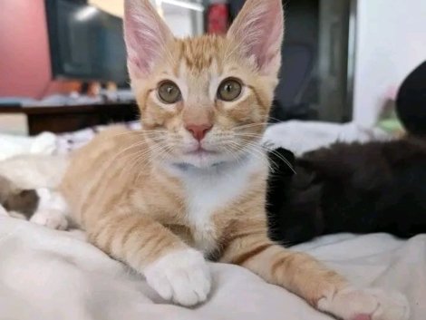 WhatsApp Image 2024-03-23 at 7.04.32 AM (2)